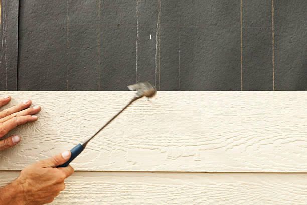 Best Composite Siding  in Christmas, FL